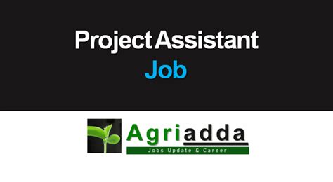 Project Assistant | April 2024 | Job 37
