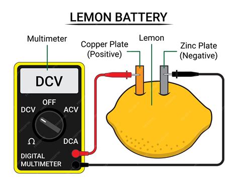 Premium Vector | Lemon Battery and Multimeter Electrochemical Battery