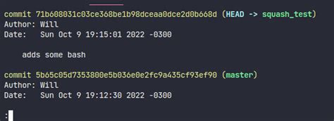 Image result for Squash Commits Git Extensions
