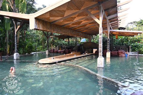 Baldi Spring 的图像结果