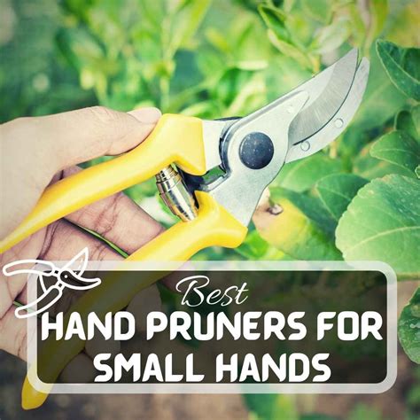 7 Best Hand Pruners For Small Hands In August 2025: Reviews And Buying ...