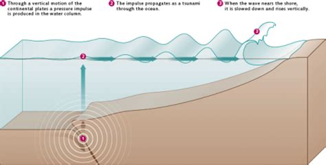 The origins of tsunamis « World Ocean Review