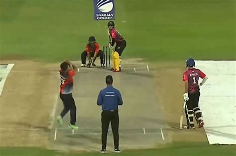 Watch Masood Gurbaz's valiant 59 wins it for Kabul Zalmi online ...