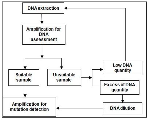 Mutational Analysis of EGFR Mutations in Non-Small Cell Lung Carcinoma ...