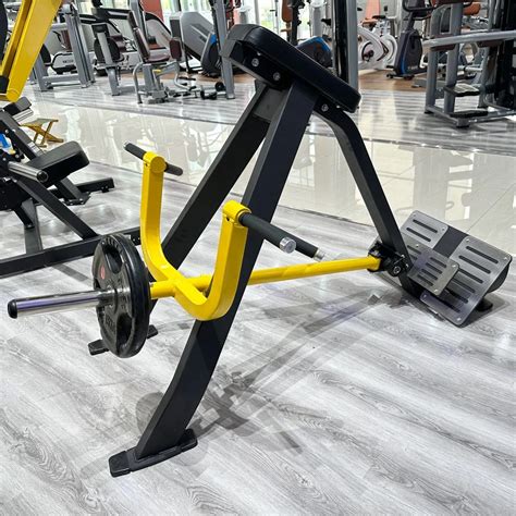 Upper Back Machine Row 的图像结果