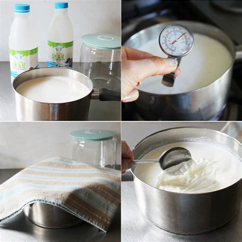 Powdered Goat Milk Yogurt Recipe | Bryont Blog