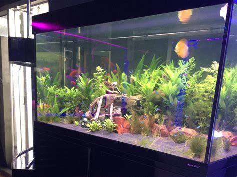 Fish Tanks For Sale Melbourne | Visit our Showroom Today | CALL 1300 MY ...