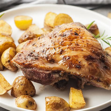 Oven Roasted Turkey Thigh Recipes | Besto Blog