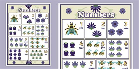 Bee-Themed Numbers 1-10 Display Poster (teacher made)