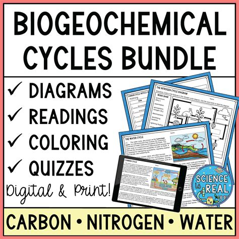 Biogeochemical Cycles Bundle - Carbon Cycle, Nitrogen Cycle, and ...