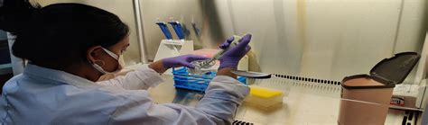 Institutional Biosafety Committee (IBSC)