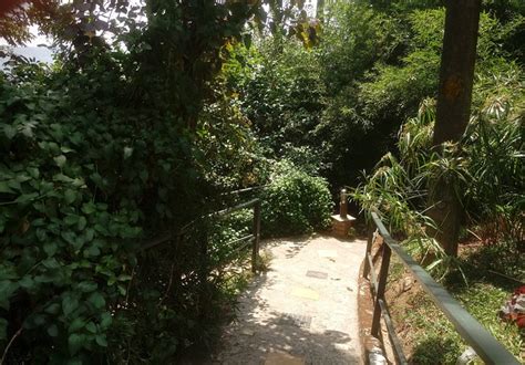 SPICE TREE MUNNAR (Kerala) - Hotel Reviews, Photos, Rate Comparison ...