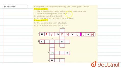 Water Flowers Crossword Puzzle Clue at James Fontanez blog