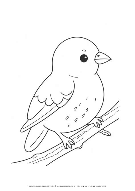 Terror Bird Coloring Page Coloring Pages