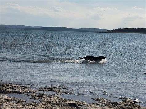 LAKE POINTE RV & CONDO RESORT (Canyon Lake) - Campground Reviews ...