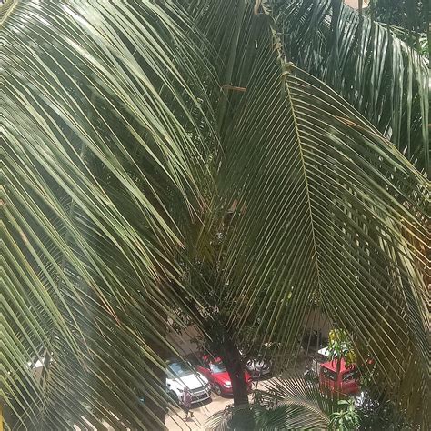 BLOOM HUB | WEH ANDHERI - 2026 Hotel Reviews, Photos, Rate Comparison ...