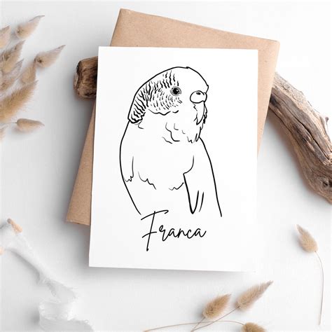 Custom Parrot Line Drawing Pet Tattoo Design Parrots Art Bird Loss Gift Parrot Outline Drawing ...