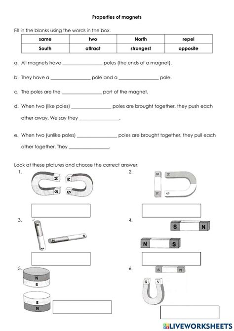 Image result for Printable Magnet Worksheet