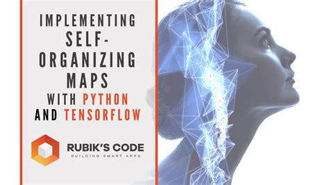 Image result for Self-Organizing Maps Python