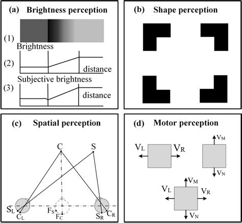 Image result for Visual Perception of Brightness
