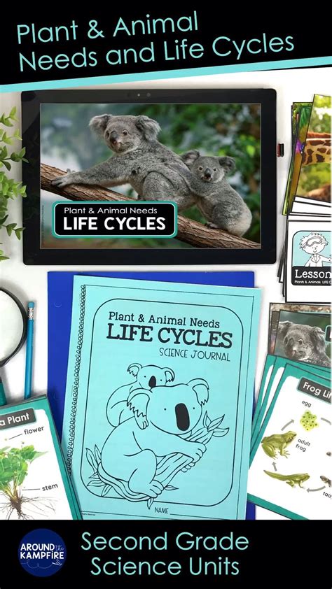 Second Grade Science Lesson 的图像结果