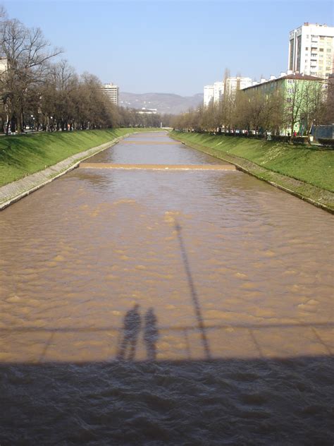 Image result for Halid Miljacka