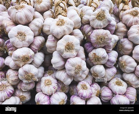 Pile of garlic at a farmer's vegetable market in France, close-up Stock ...