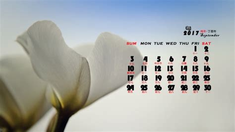 2017年壁紙カレンダープレゼント【無料】～花の写真を使った壁紙カレンダーを無料でダウンロード｜フラワーショップ花夢
