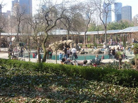 Prospect Park Zoo, brooklyn, United States Of America - Top Attractions ...