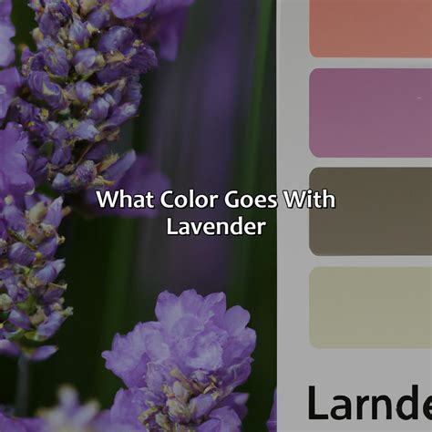What Color Goes With Pink Lavender at Faith Sager blog