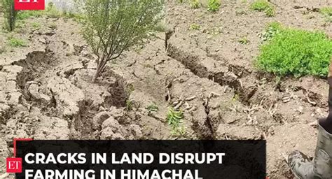 'Flood irrigation': Land cracks disrupt farming in Lahaul-Spiti ...