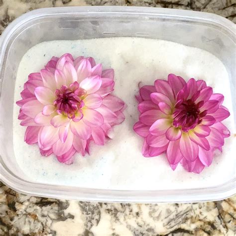 Silica Gel Flower Drying