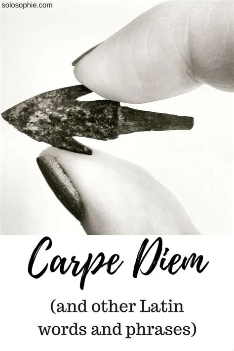 10+ Best Beautiful Latin Words and Phrases (+ Latin Quotes) | solosophie