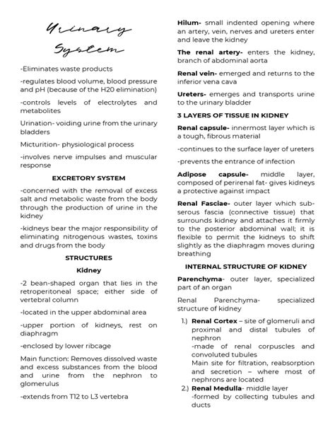 Image result for Urinary System.pdf