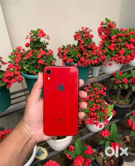 IPhone xr 64gb Chandigarh delivery all over india# Charge 150rs ...
