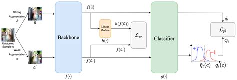 DYMatch: Semi-Supervised Learning with Dynamic Pseudo Labeling and ...