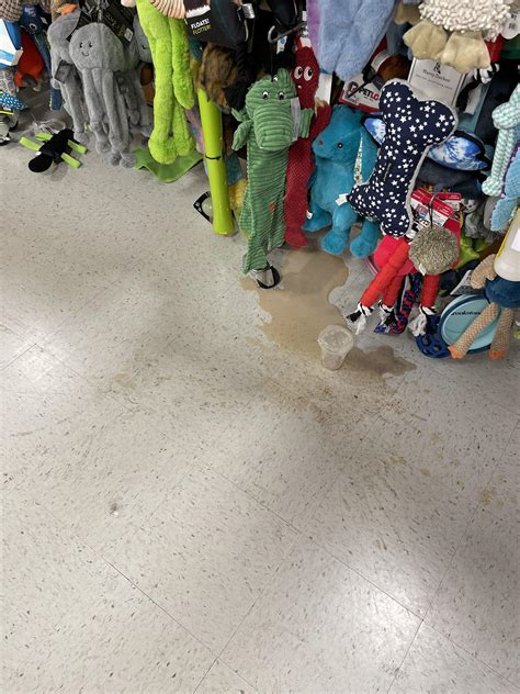 Happy Memorial Day!!!! 🦅 🇺🇸🦅💥💥 : r/TjMaxx