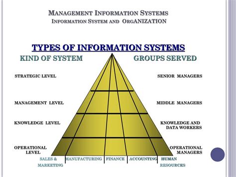Management Information System Support 的图像结果
