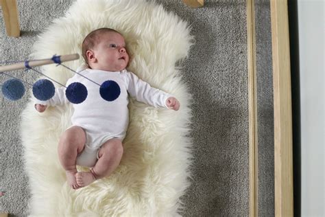 Image result for Body Alert Program