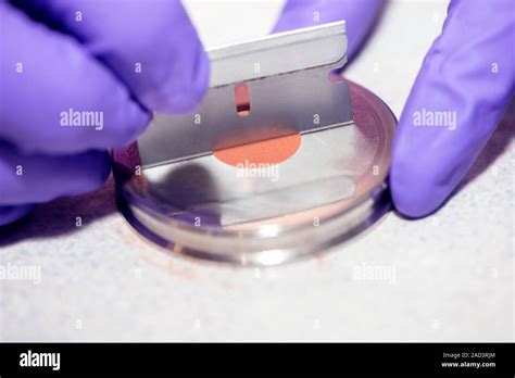 Image result for Forensic Soil Collection