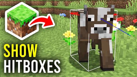 Image result for Minecraft Hitbox Tutorial