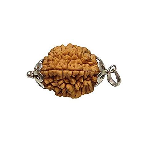 Gemestic Nepali 2 Mukhi Rudraksha Two Face Ruthratcham Lab Certified ...