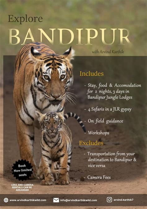 Book your Next Indian Tiger Safari | Tiger Safari Trails India