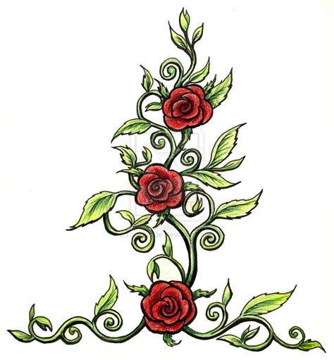 Free Rose Vine Drawings, Download Free Rose Vine Drawings png images ...