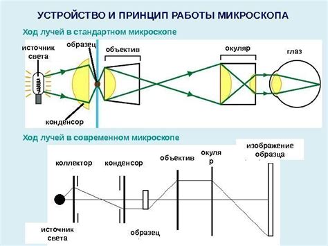 Цитология – наука о клетке Современные методы исследования