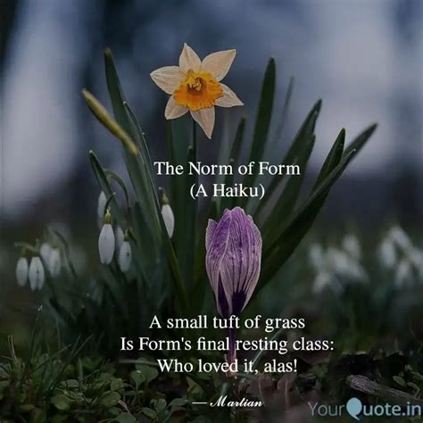 The Norm of Form (A Haiku... | Quotes & Writings by Martian Mirth ...