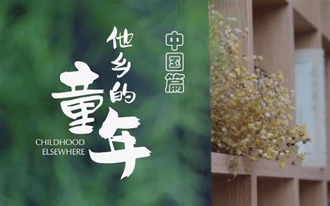 【五分钟纪录片】07 他乡的童年 中国篇 传统文化该何去何从？_哔哩哔哩_bilibili
