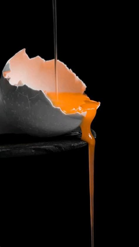 Image result for Color Splash Photography