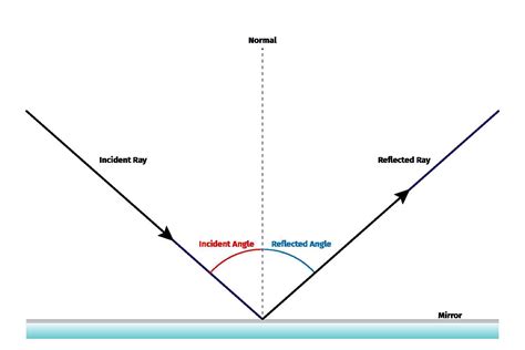 What is reflection with digram - Brainly.in