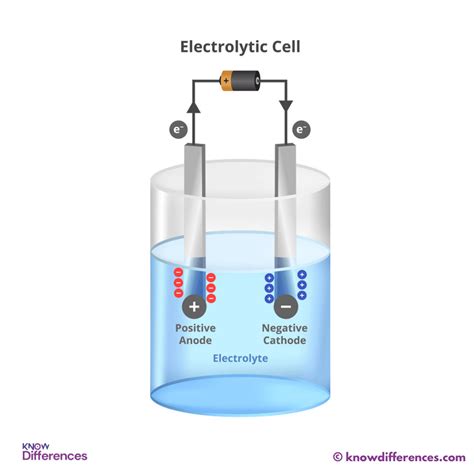 Image result for Simple Electrolytic Cell
